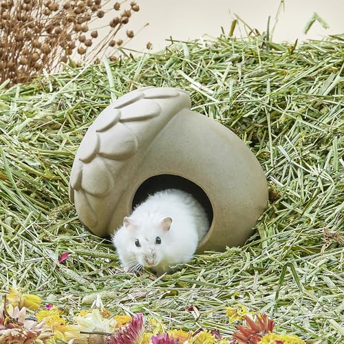 BUCATSTATE Hamster Hideout Keramik groß - Hideaway Haus Habitat Dekoration für syrische...