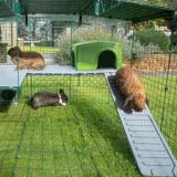 Omlet Zippi Kaninchen Plattformen
